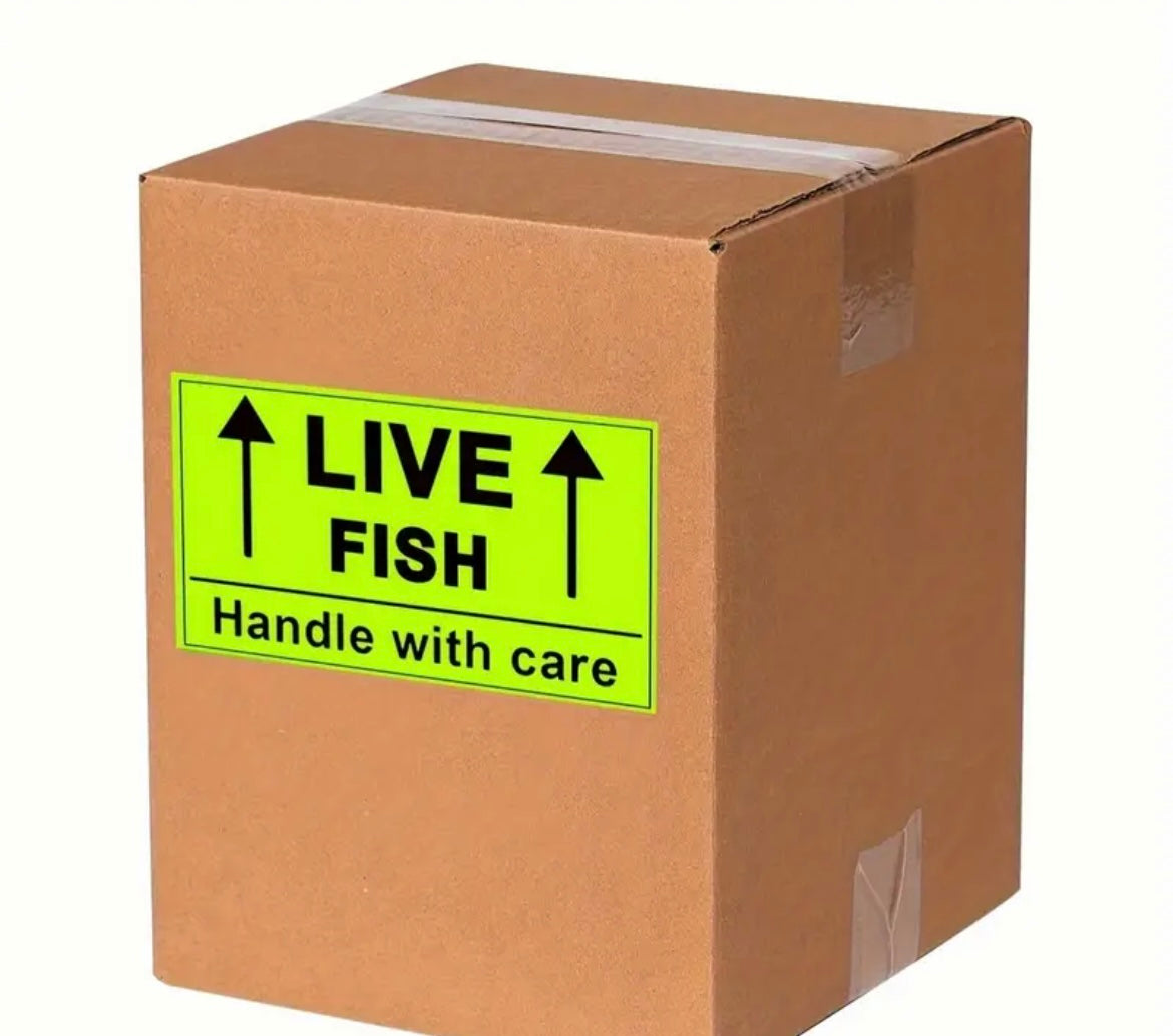 [2x3 Inch Fluorescent Green Warning] Live Fish Shipping Labels, Handle with Care Warning Stickers, Green, Strong Adhesive, 250 Labels Per Roll